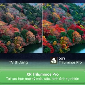 Google Tivi OLED Sony 4K 65 inch K-65XR80 Model 2024 - hình ảnh sản phẩm