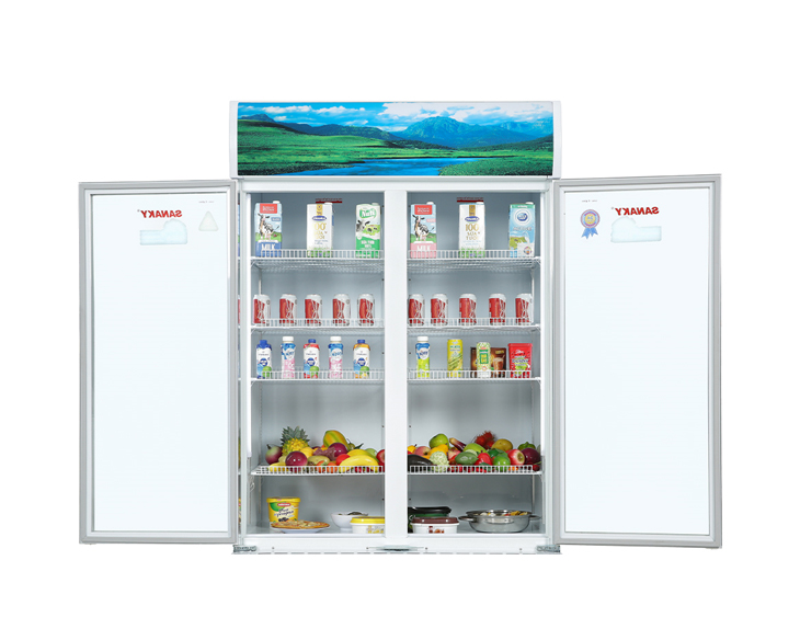 Tủ Mát Sanaky 900 lít Inverter VH-1009HP3 giá tốt Tủ Mát Sanaky 900 lít Inverter VH-1009HP3 giá tốt - góc nhìn 5