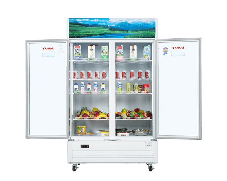 Tủ Mát Sanaky 900 lít Inverter VH-1009HP3 giá tốt Tủ Mát Sanaky 900 lít Inverter VH-1009HP3 giá tốt - góc nhìn 3