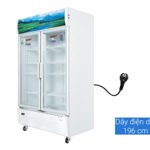 Tủ Mát Sanaky 900 lít Inverter VH-1009HP3 giá tốt - góc nhìn 2