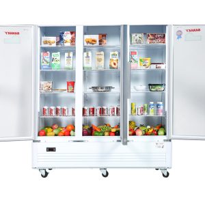 Tủ mát Sanaky 1400 lít VH-1520HP giá tốt, giao nhanh - góc nhìn 5