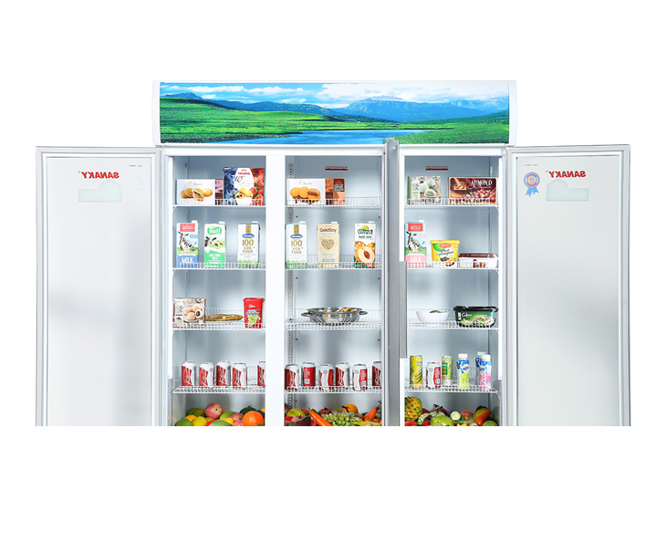 Tủ mát Sanaky 1400 lít VH-1520HP giá tốt, giao nhanh Tủ mát Sanaky 1400 lít VH-1520HP giá tốt, giao nhanh - góc nhìn 4