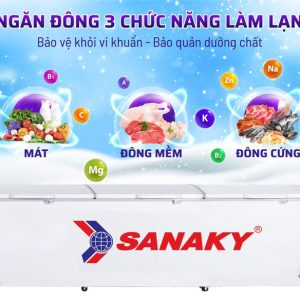 Tủ Đông Sanaky Inverter 1500 lít VH-1799HY3 | Điện máy Phúc Anh - góc nhìn 5