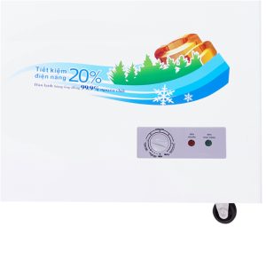 Tủ Đông Sanaky 305 lít VH-4099A1 chính hãng, giá tốt - góc nhìn 2