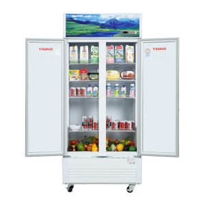 Tủ mát Sanaky Inverter 1100 lít VH-1209HP3 giá tốt - góc nhìn 2