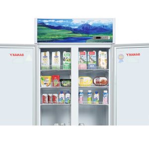Tủ mát Sanaky Inverter 1100 lít VH-1209HP3 giá tốt - góc nhìn 3