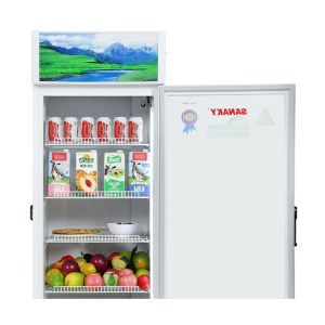 Tủ mát Sanaky Inverter 400 lít VH-4089K3 | Điện máy Phúc Anh - góc nhìn 3